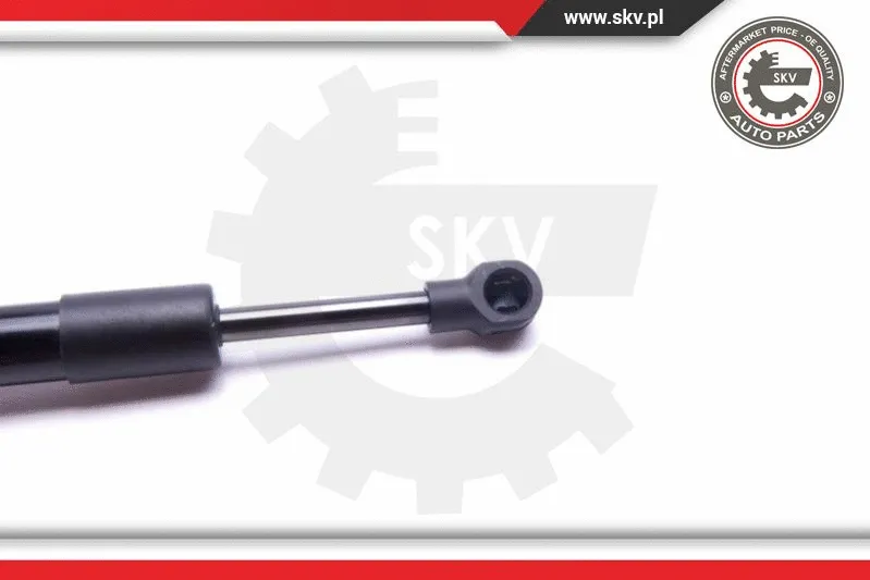 Gas Spring, bonnet