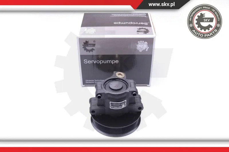 Hydraulic Pump, steering (10SKV101)