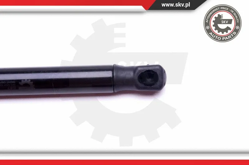 Gas Spring, boot/cargo area