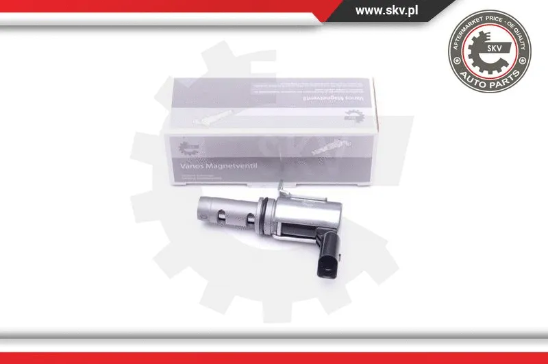 Control Valve, camshaft adjustment (39SKV052)