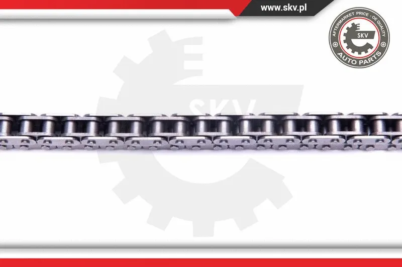 Timing Chain Kit