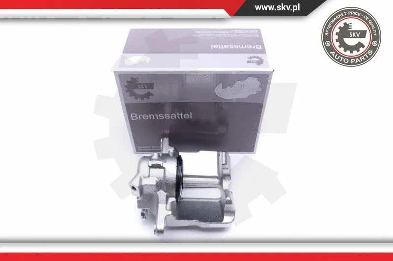 Brake Caliper (46SKV001)