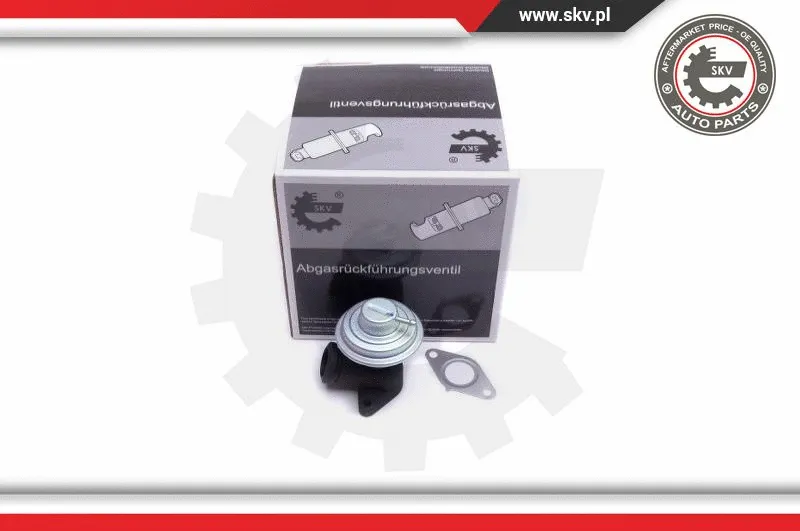 EGR Valve (14SKV205)