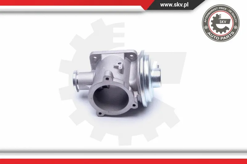 EGR Valve