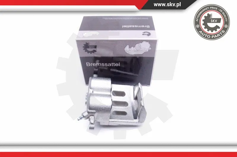 Brake Caliper (44SKV732)