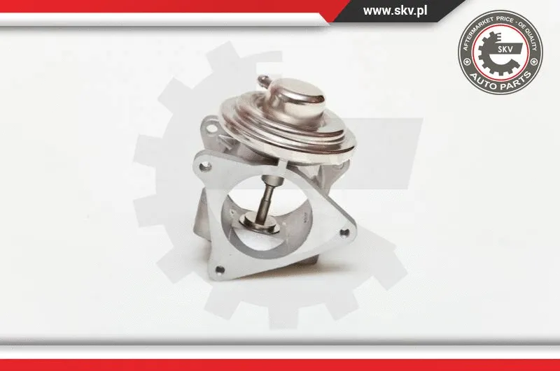 EGR Valve (14SKV019)