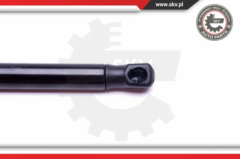 Gas Spring, boot/cargo area