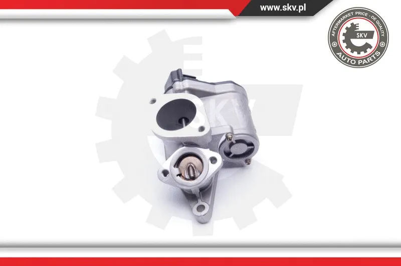 EGR Valve