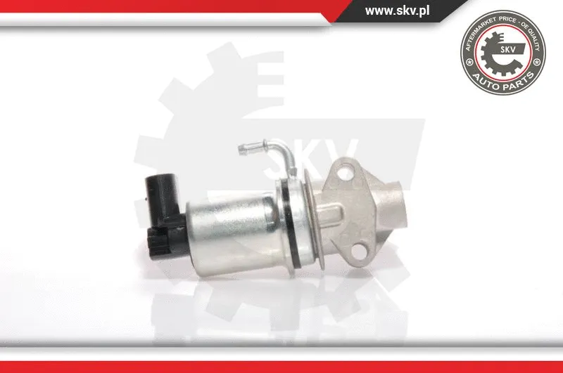 EGR Valve (14SKV018)