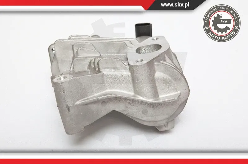 EGR Valve