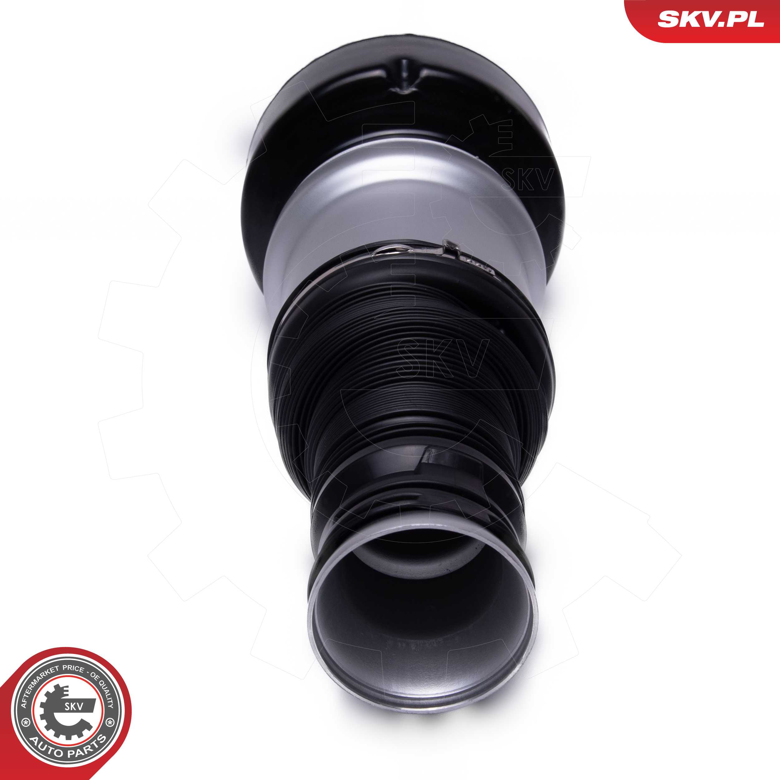 Air Suspension Strut