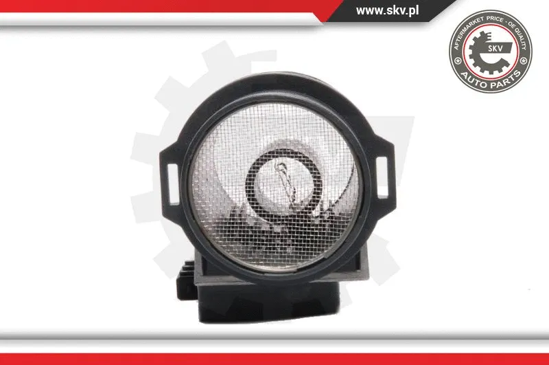 Mass Air Flow Sensor