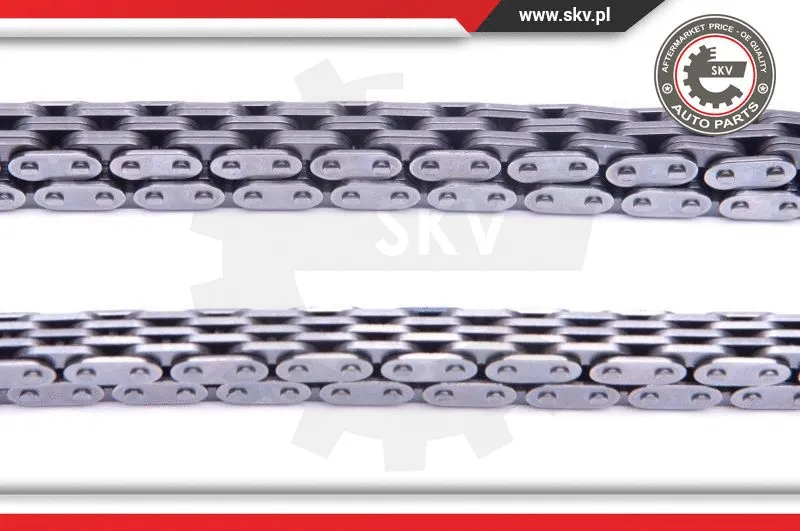 Timing Chain Kit