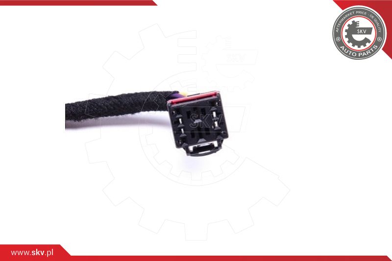 Electric Motor, tailgate