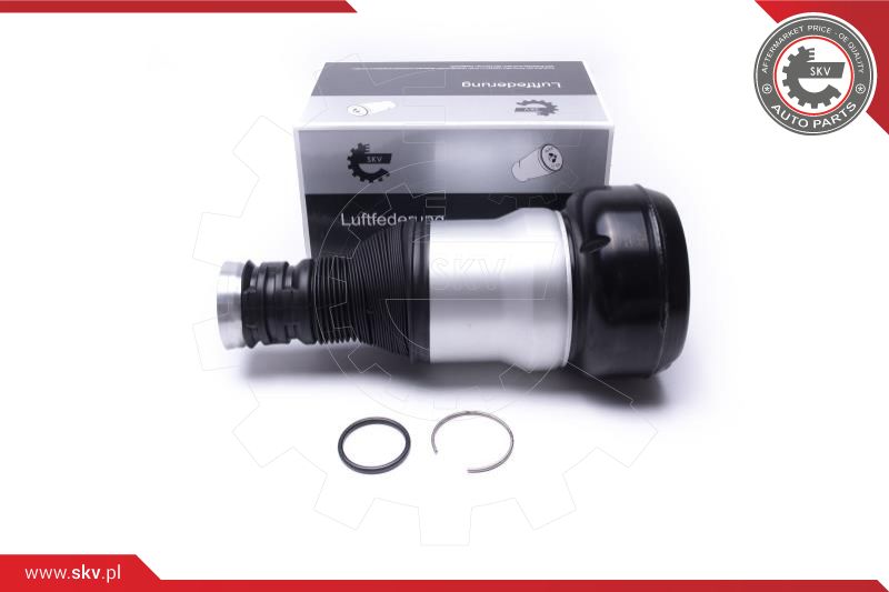 Air Suspension Strut (58SKV071)