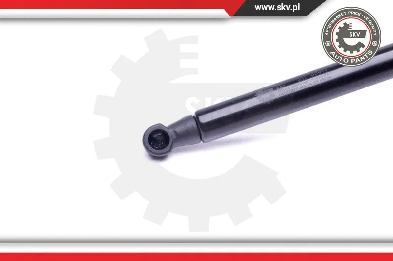 Gas Spring, boot/cargo area