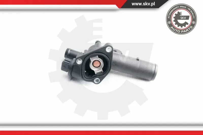 Thermostat, coolant