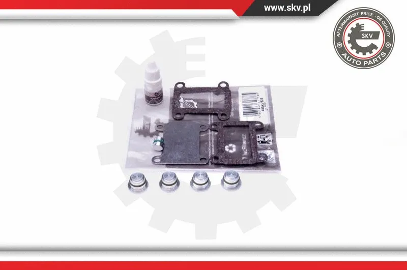 Repair Kit, intake manifold module (49SKV525)