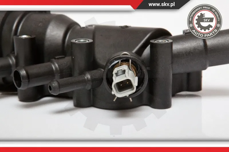 Thermostat, coolant