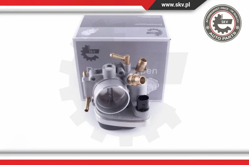 Throttle Body (12SKV095)