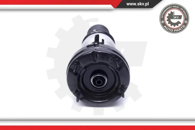 Air Suspension Strut