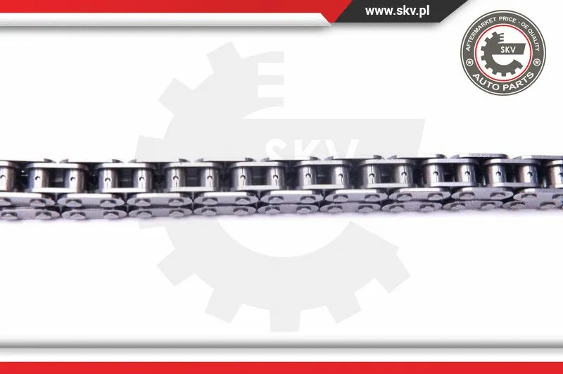 Timing Chain Kit