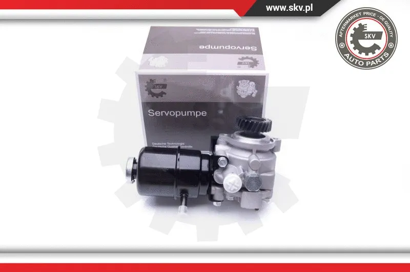Hydraulic Pump, steering (10SKV274)