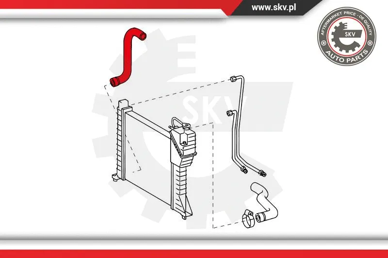 Radiator Hose