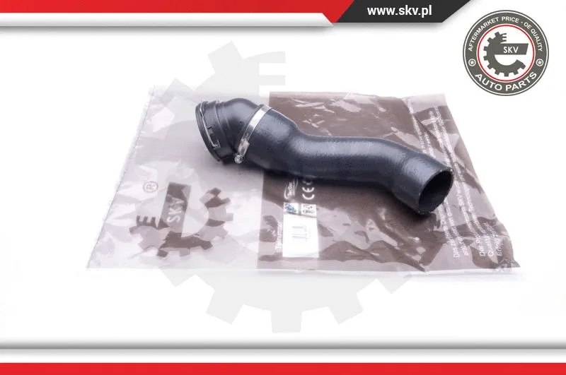 Charge Air Hose (24SKV719)