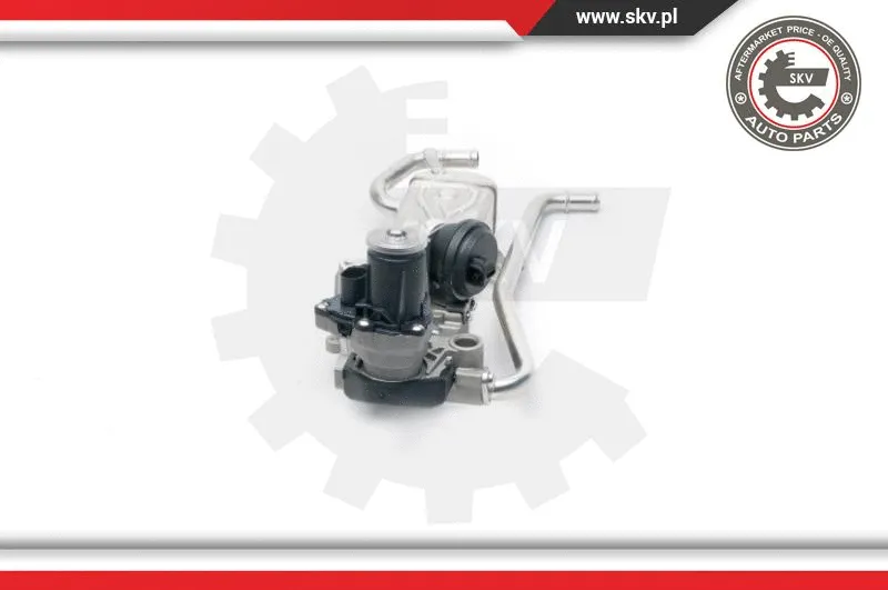 EGR Valve