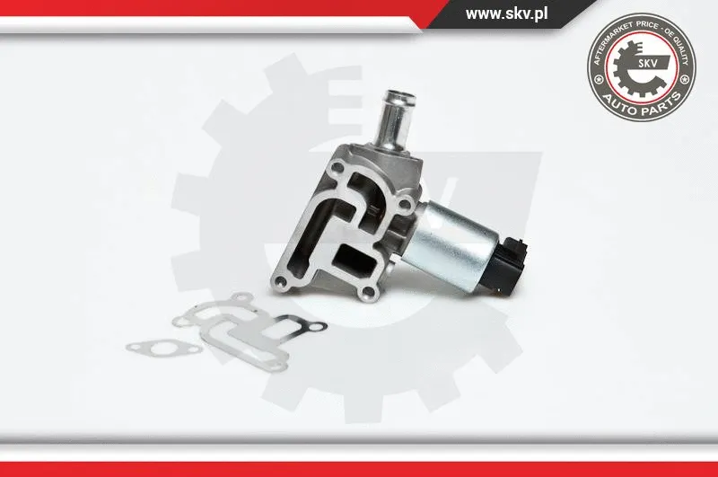 EGR Valve (14SKV030)