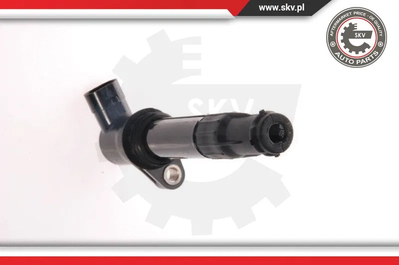 Ignition Coil (03SKV065)