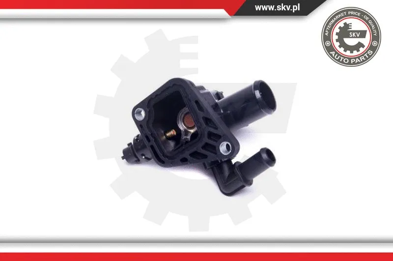 Thermostat, coolant
