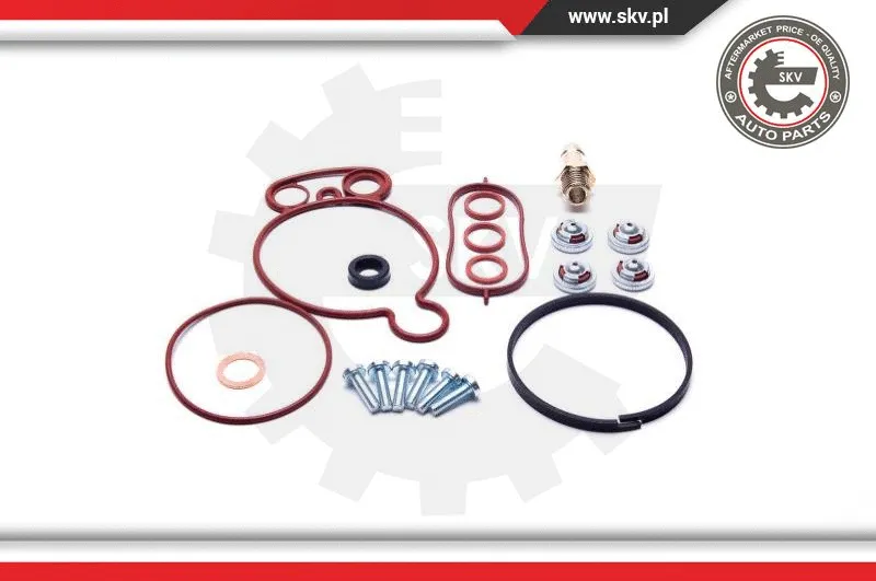 Repair Set, vacuum pump (braking system)