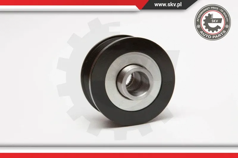 Alternator Freewheel Clutch
