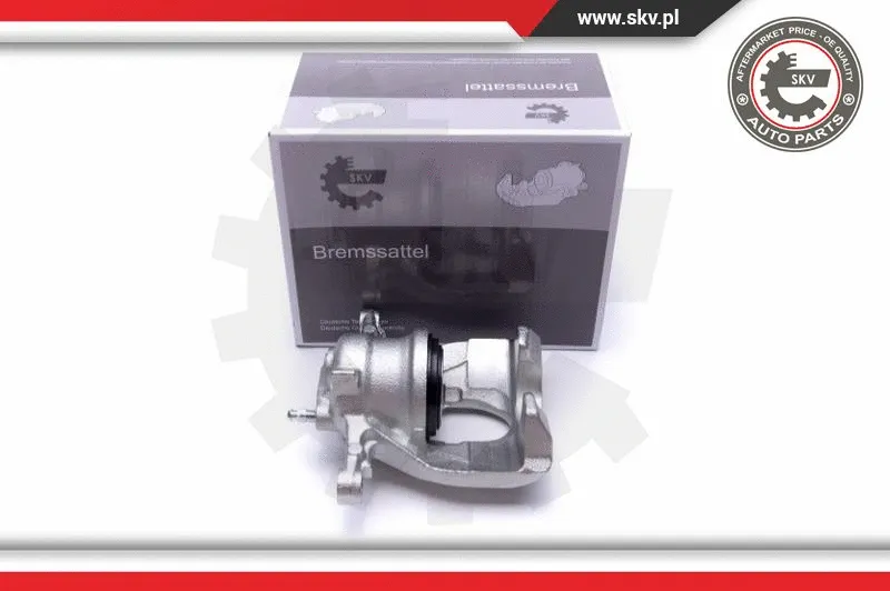 Brake Caliper (55SKV661)