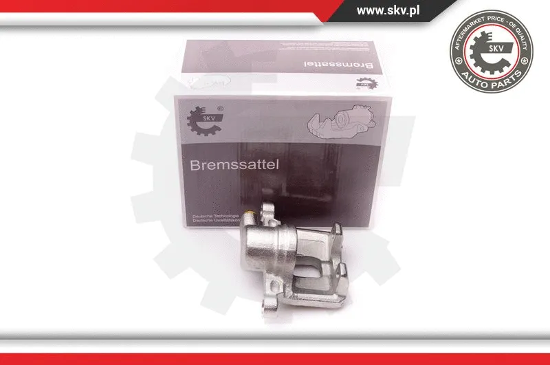 Brake Caliper (34SKV313)