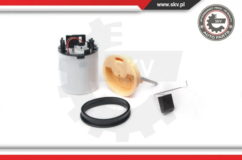 Fuel Feed Unit (02SKV749)