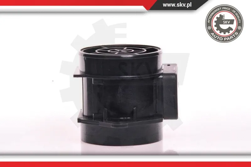 Mass Air Flow Sensor