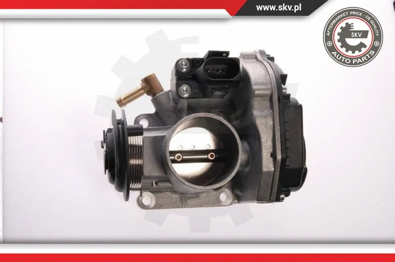 Throttle Body (12SKV014)