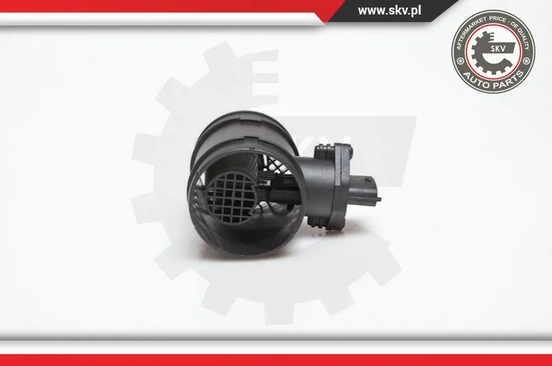 Mass Air Flow Sensor