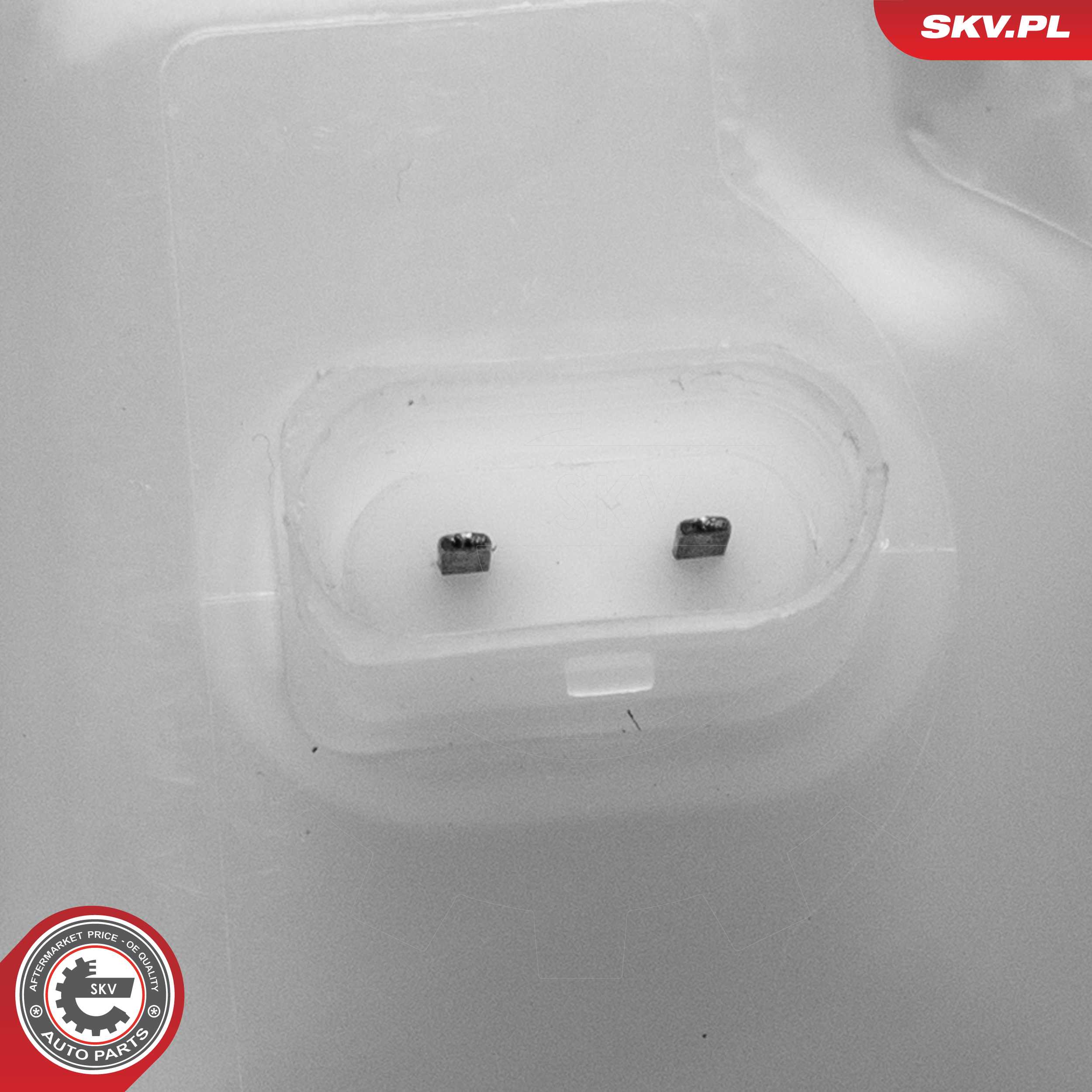 Expansion Tank, coolant