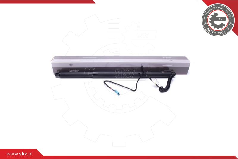 Electric Motor, tailgate (52SKV930)