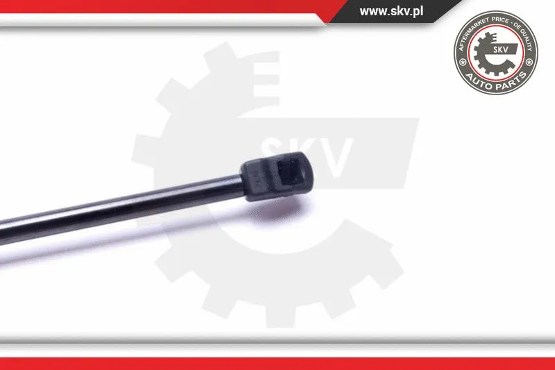 Gas Spring, boot/cargo area