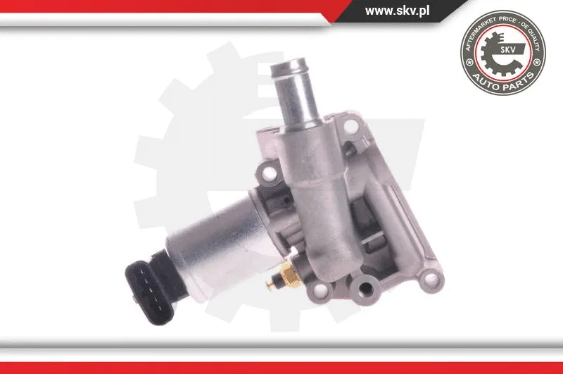EGR Valve