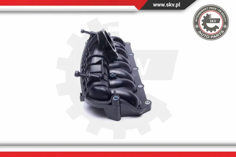 Intake Manifold Module