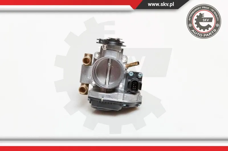 Throttle Body (12SKV004)