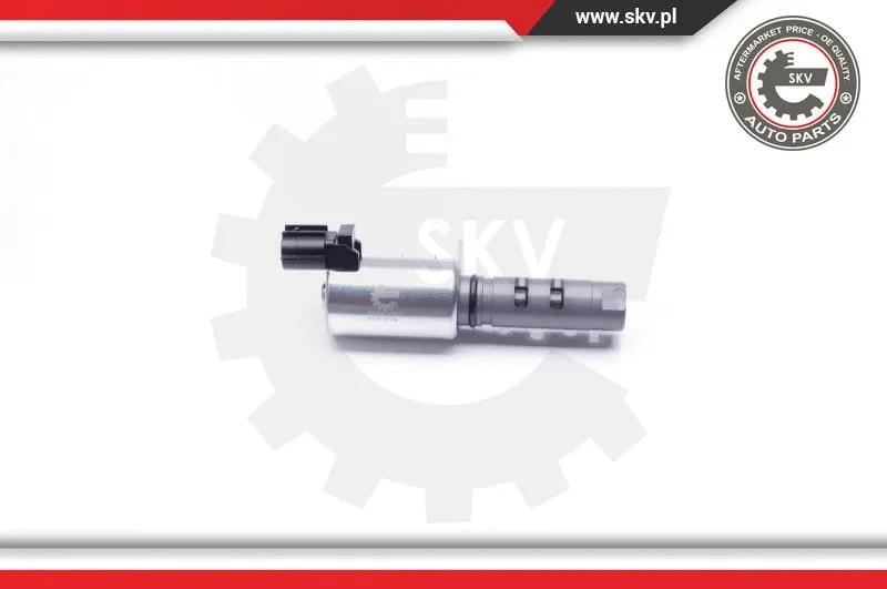 Control Valve, camshaft adjustment (39SKV029)