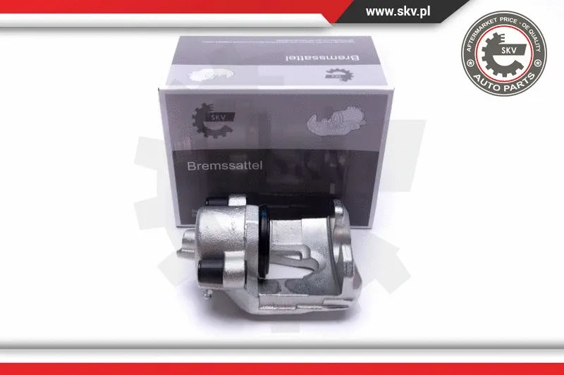 Brake Caliper (55SKV891)