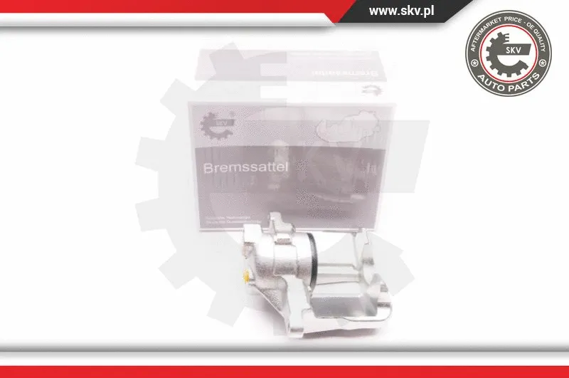 Brake Caliper (23SKV011)